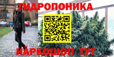 крисы Бийск