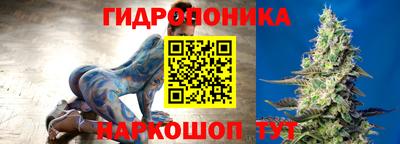 крисы Бийск