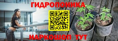 гашиш Берёзовский