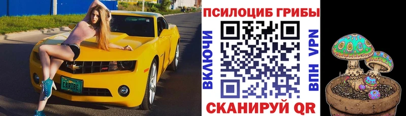 Галлюциногенные грибы GOLDEN TEACHER  Беслан 