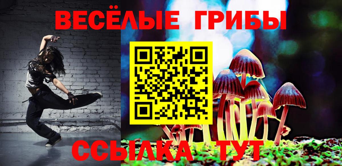 Галлюциногенные грибы мицелий  Беслан  Галлюциногенные грибы прущие грибы 