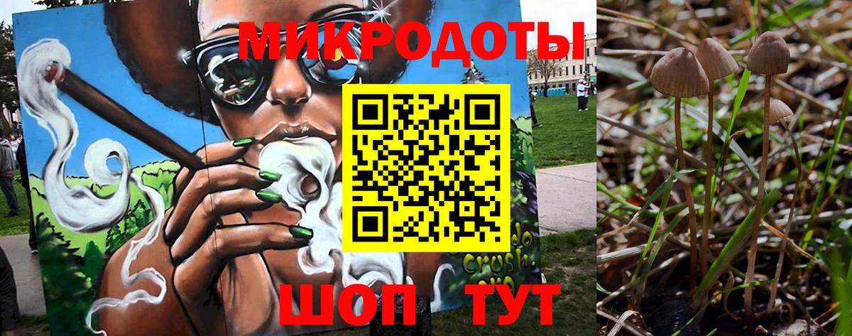 купить   Вход с VPN  Беслан  Галлюциногенные грибы Cubensis 