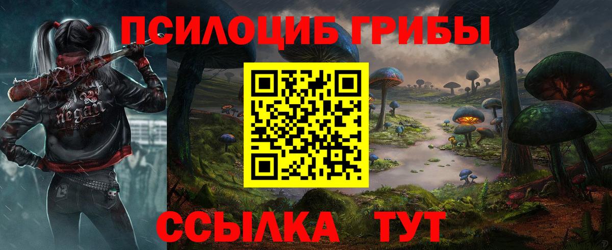Псилоцибиновые грибы Psilocybine cubensis Беслан