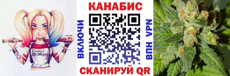 Каннабис сатива  купить закладку  Беслан 